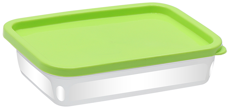 RECTANGLE FOODMATE 0.5 LTR