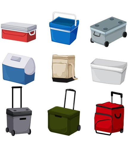 Cooler Boxes &amp; Bags