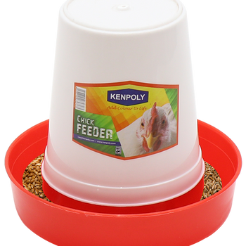 CHICK FEEDER