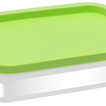 RECTANGLE FOODMATE 0.5 LTR