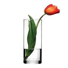 Botanica Vase 43767