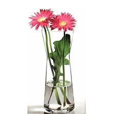 VASE (FLORA)  CROM