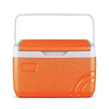 Milton 3L Cooler